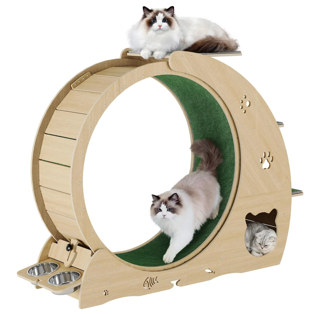 HiMISS Multifunctional Quiet Cat Exercise Wheel Treadmill