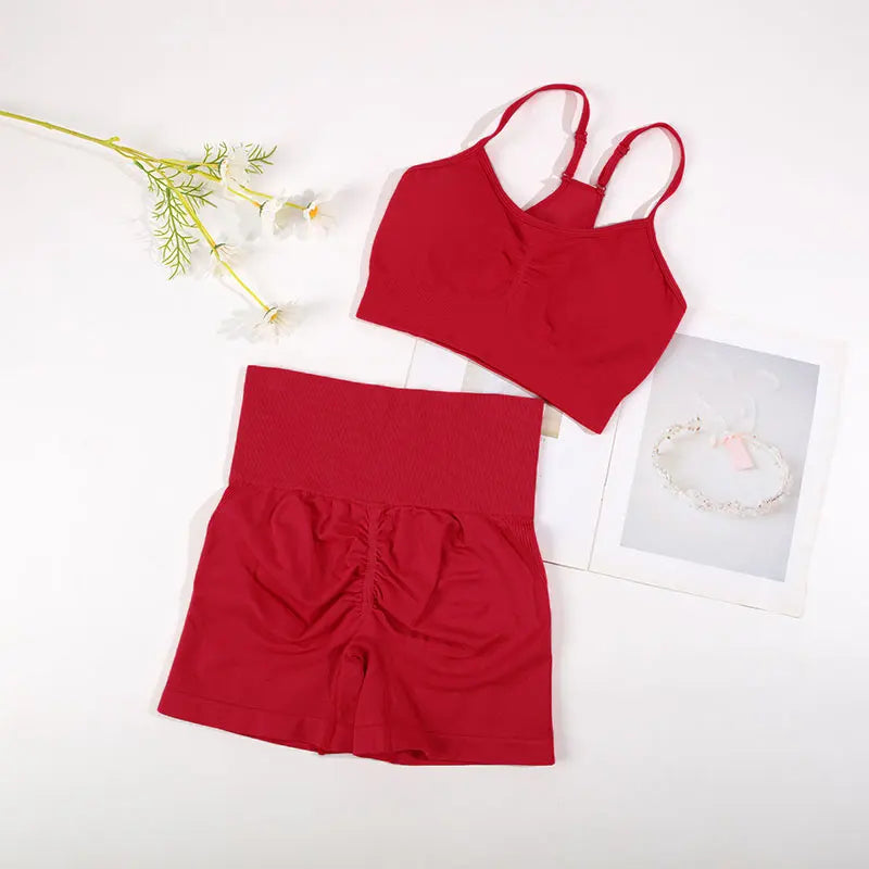CHRLEISURE Seamless Sports Set Women Yoga Suit With Cycling Shorts - Alice's Wellness Hub