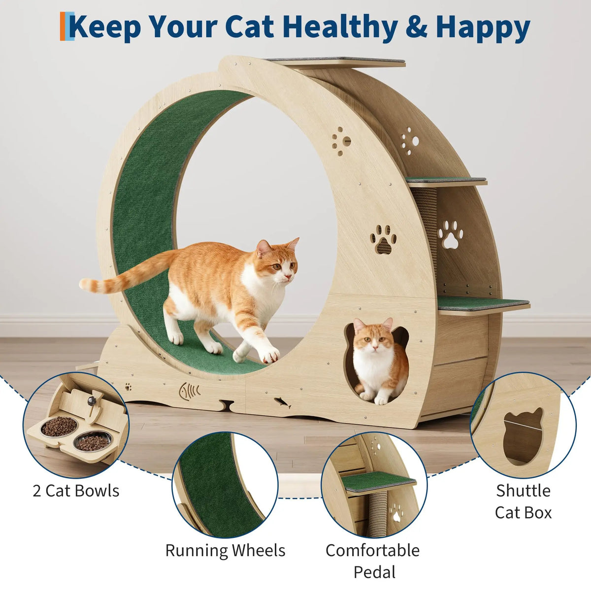 HiMISS Multifunctional Quiet Cat Exercise Wheel Treadmill