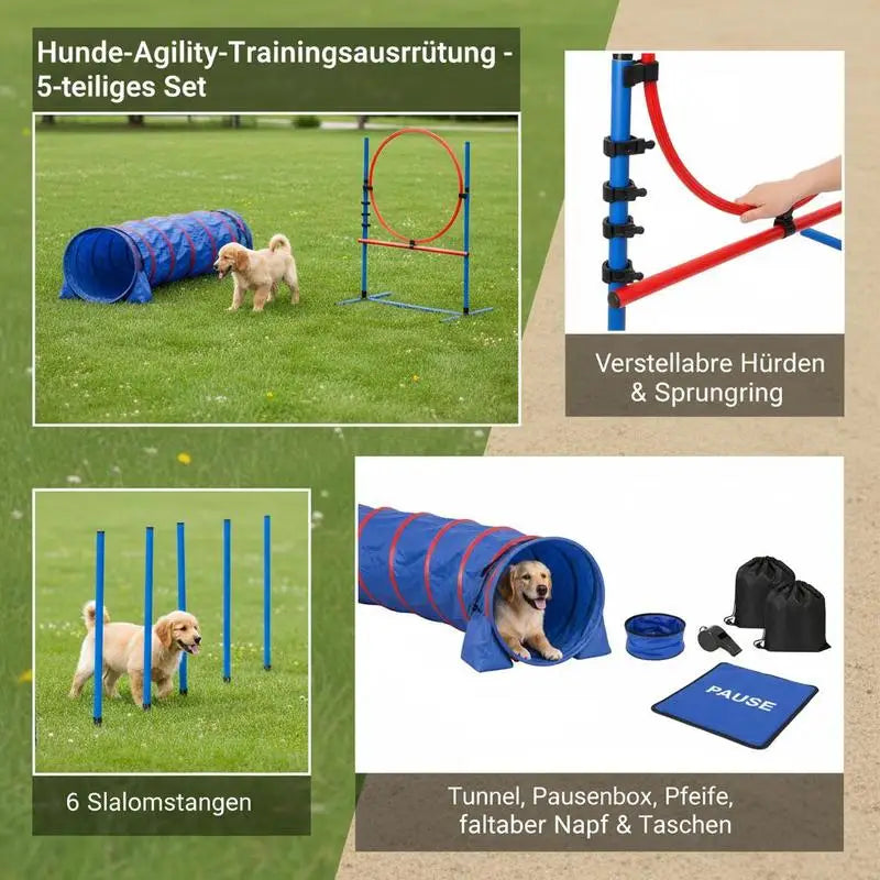 Dog Agility Training Equipment Set With Tunnel Poles