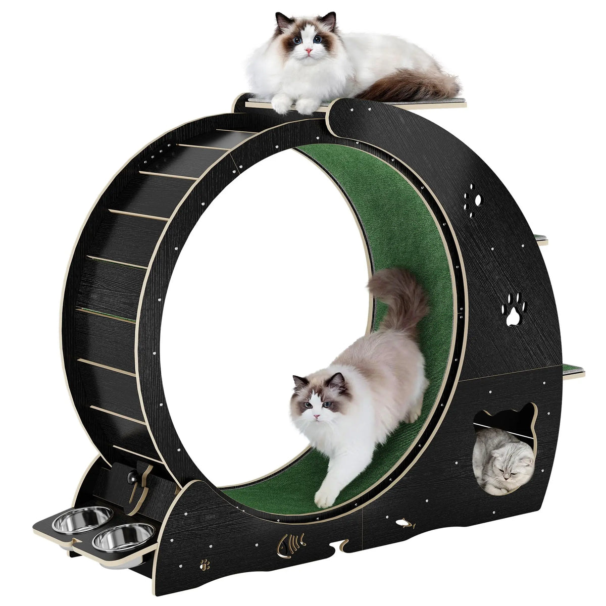 HiMISS Multifunctional Quiet Cat Exercise Wheel Treadmill