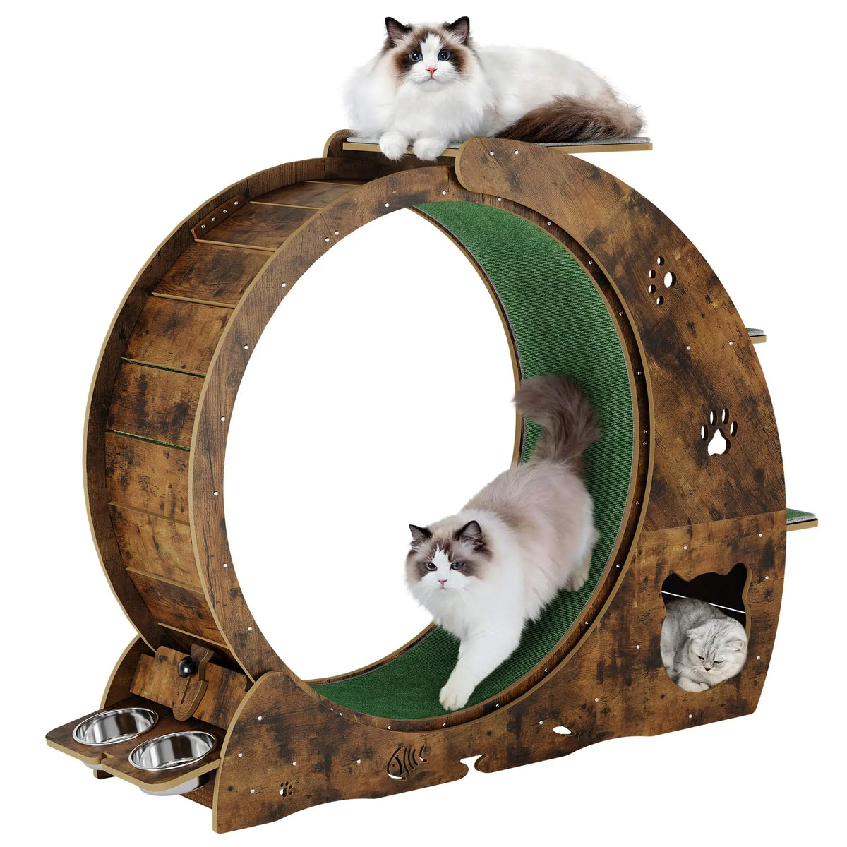 HiMISS Multifunctional Quiet Cat Exercise Wheel Treadmill