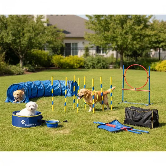 Dog Agility Training Equipment Set With Tunnel Poles